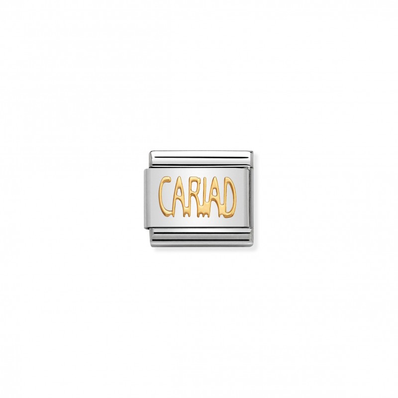 Composable Classic Link CARIAD in 18K Gold